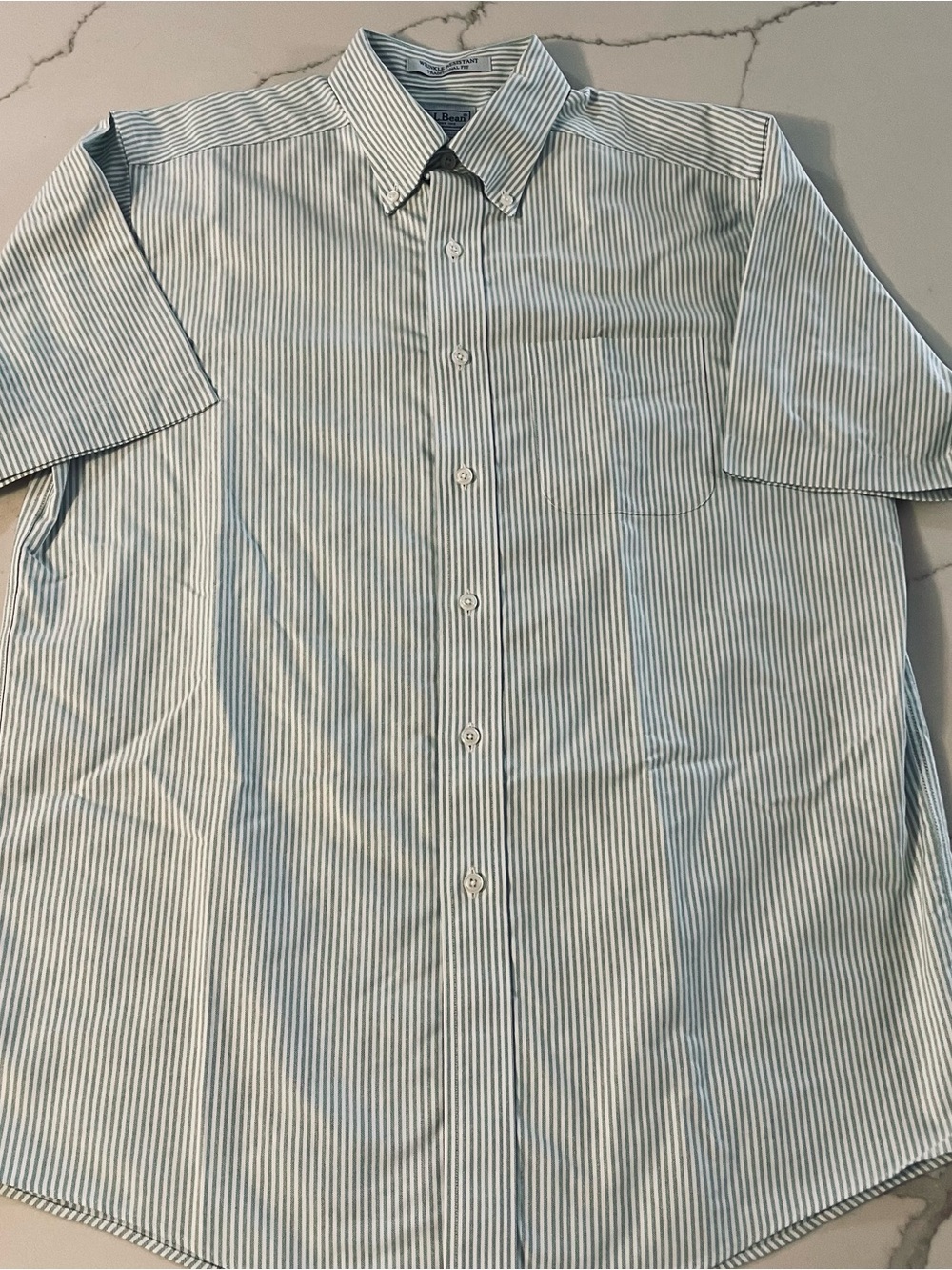L.L. Bean Short-Sleeve Button-Down Shirt in green and White Stripe